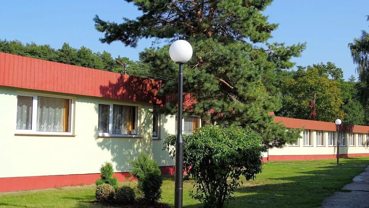 Domki w otoczeniu zieleni